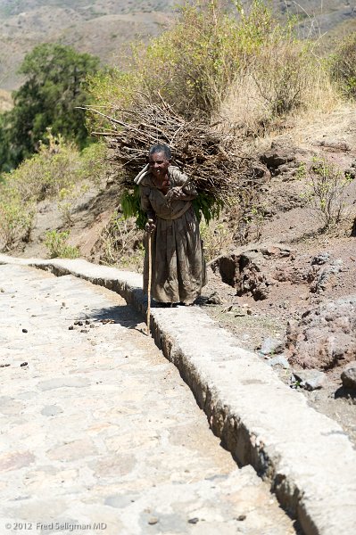 20120403_112448 Nikon D3S (1) 2x3.jpg - Begger carrying wood.   She seems to walk up and down the stairs hoping to receive some alms